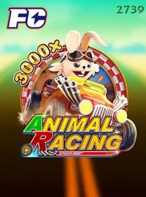 Animal Racing